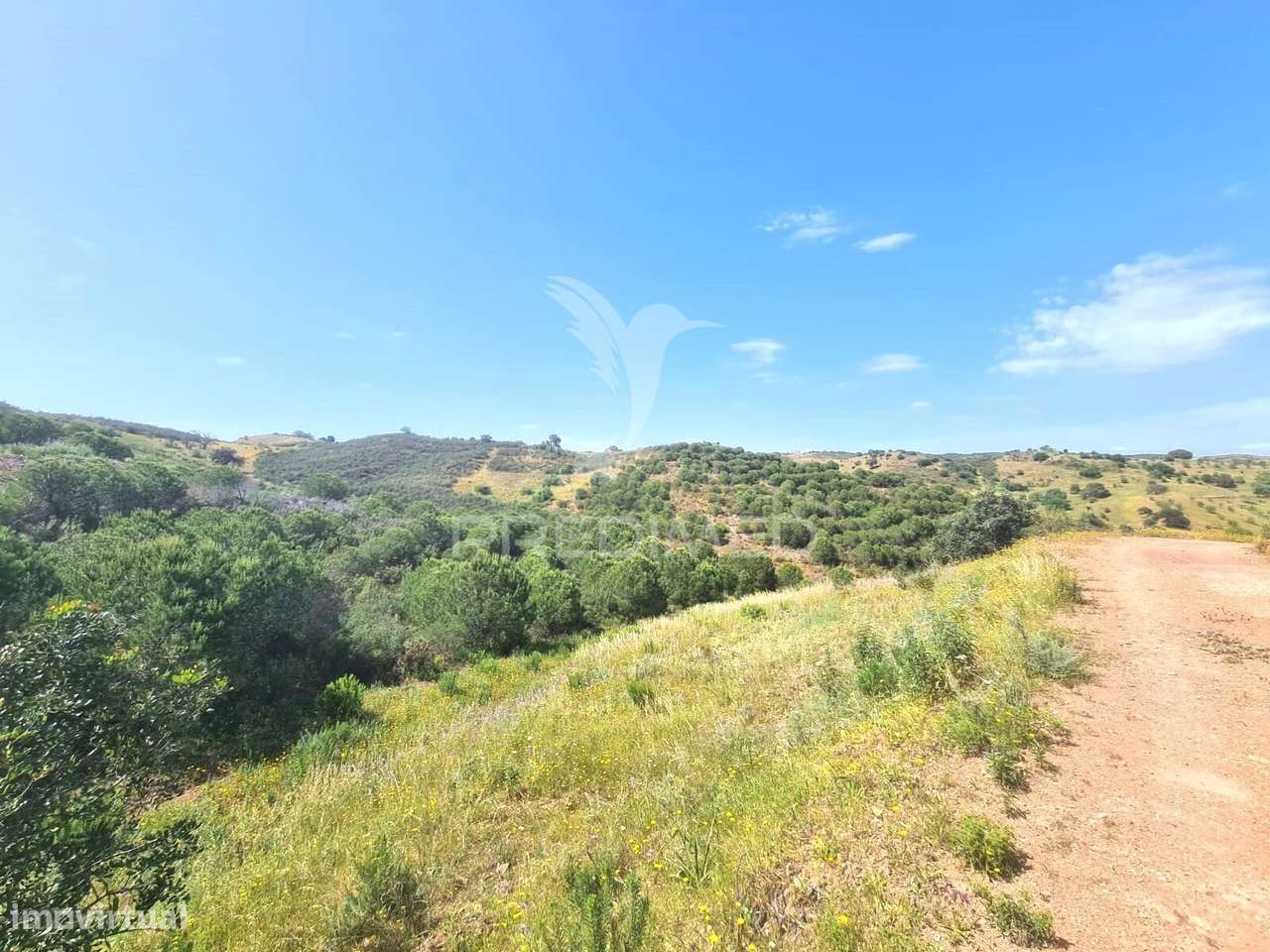 Terreni Rústico - Grande imagem: 5/10