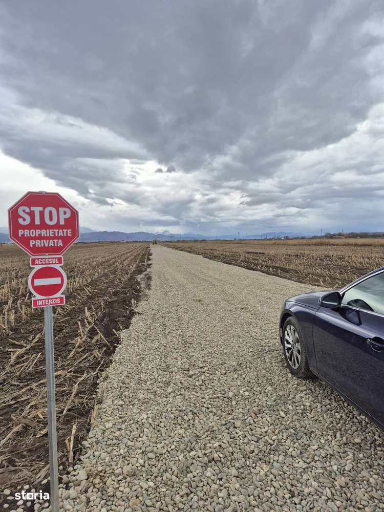 Teren-Intravilan Brasov - Imagine principală: 1/7