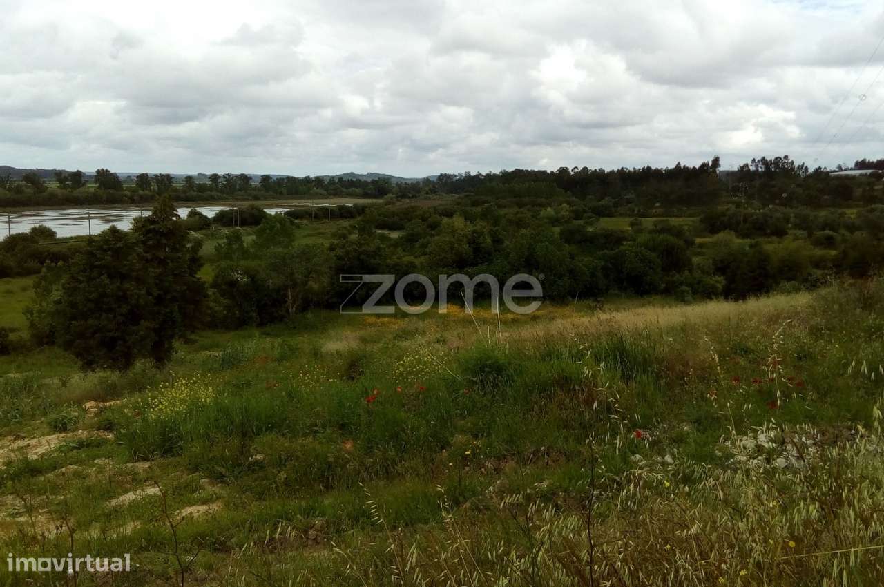 Terreno Urbanizável - Grande imagem: 5/16