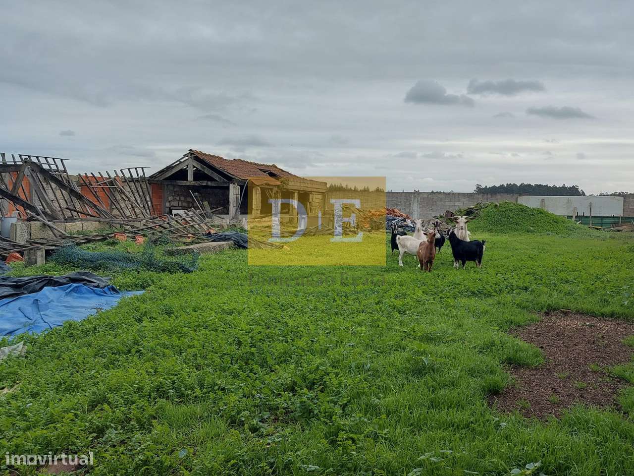 Terreno com Quinta em Fajozes – Vila do Conde-18
