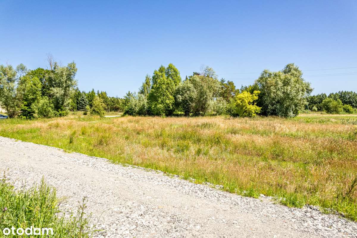 Atrakcyjna działka na sprzedaż w Jantarze | 1080m2 - Pełny obrazek: 5/7