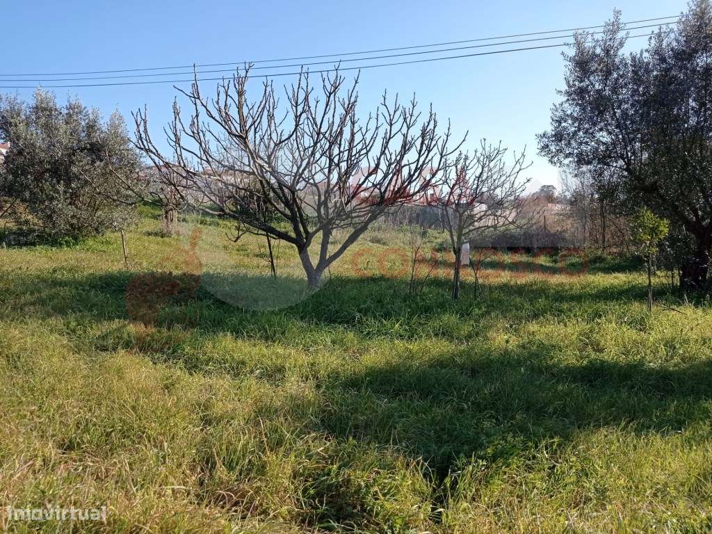 Terreno para construção - Grande imagem: 4/6