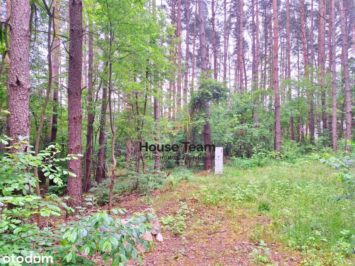 Działka z Mpzp - 1721 m2 - Smukała - Pełny obrazek: 4/14