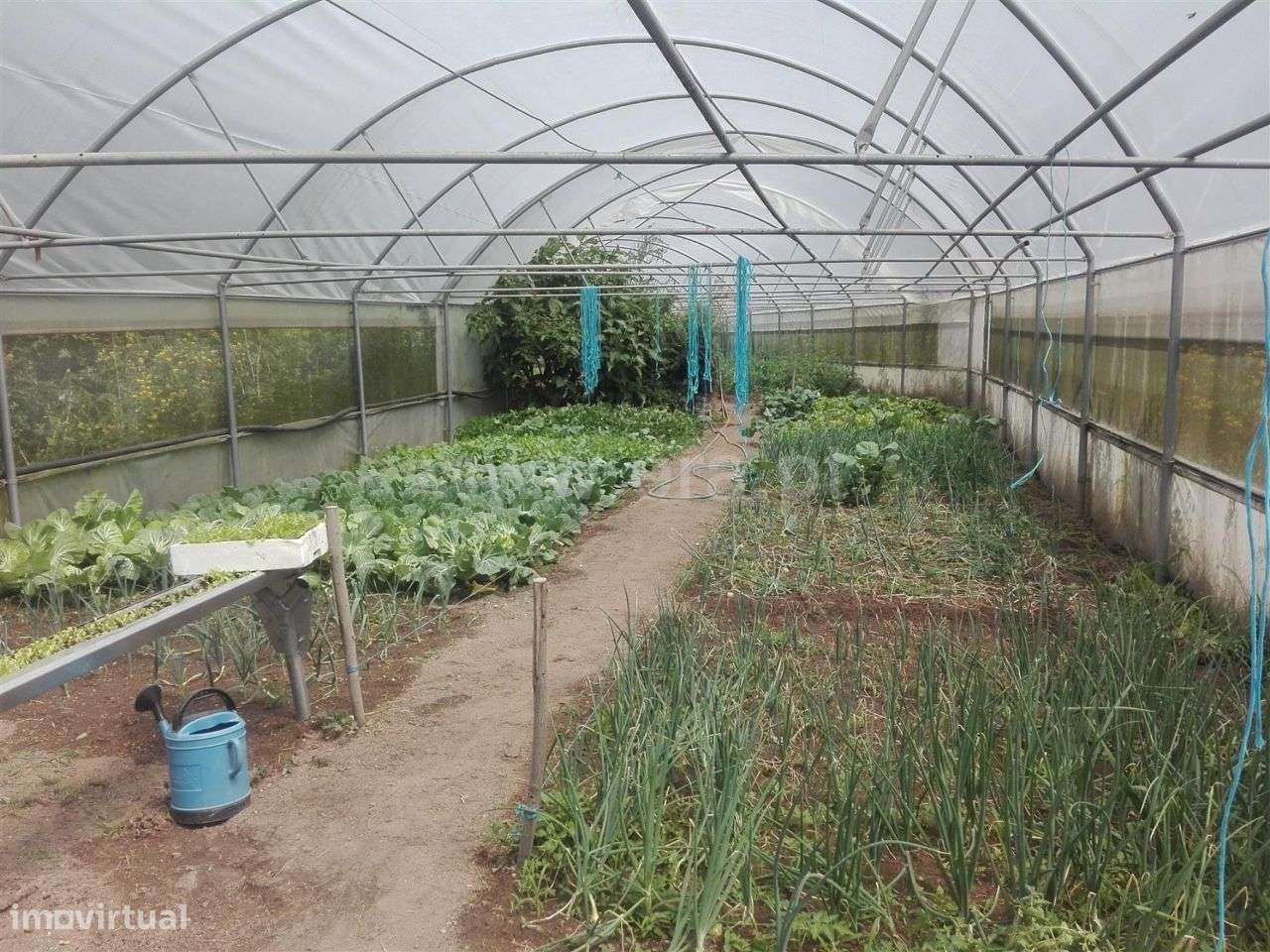 Quinta com 17.000 m2 em Estorãos - Grande imagem: 3/19