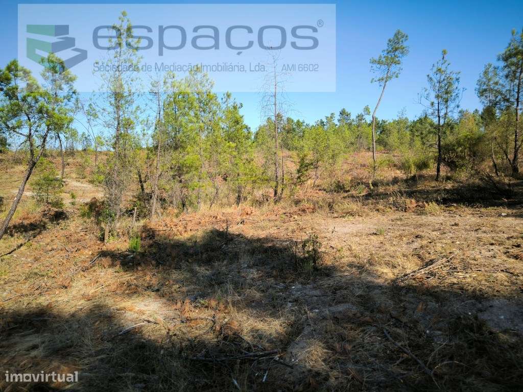 Terreno com bons acessos - S. Domingos - Grande imagem: 4/9