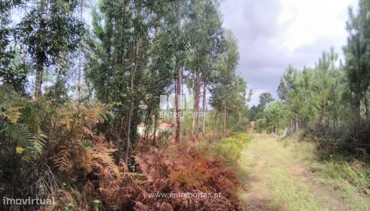 Venda de Bouça, Meixedo, Viana do Castelo - Grande imagem: 5/30