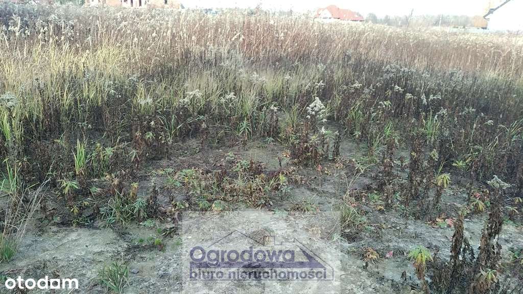 Urokliwa działka na skraju Baszkówki i Głoskowa-2