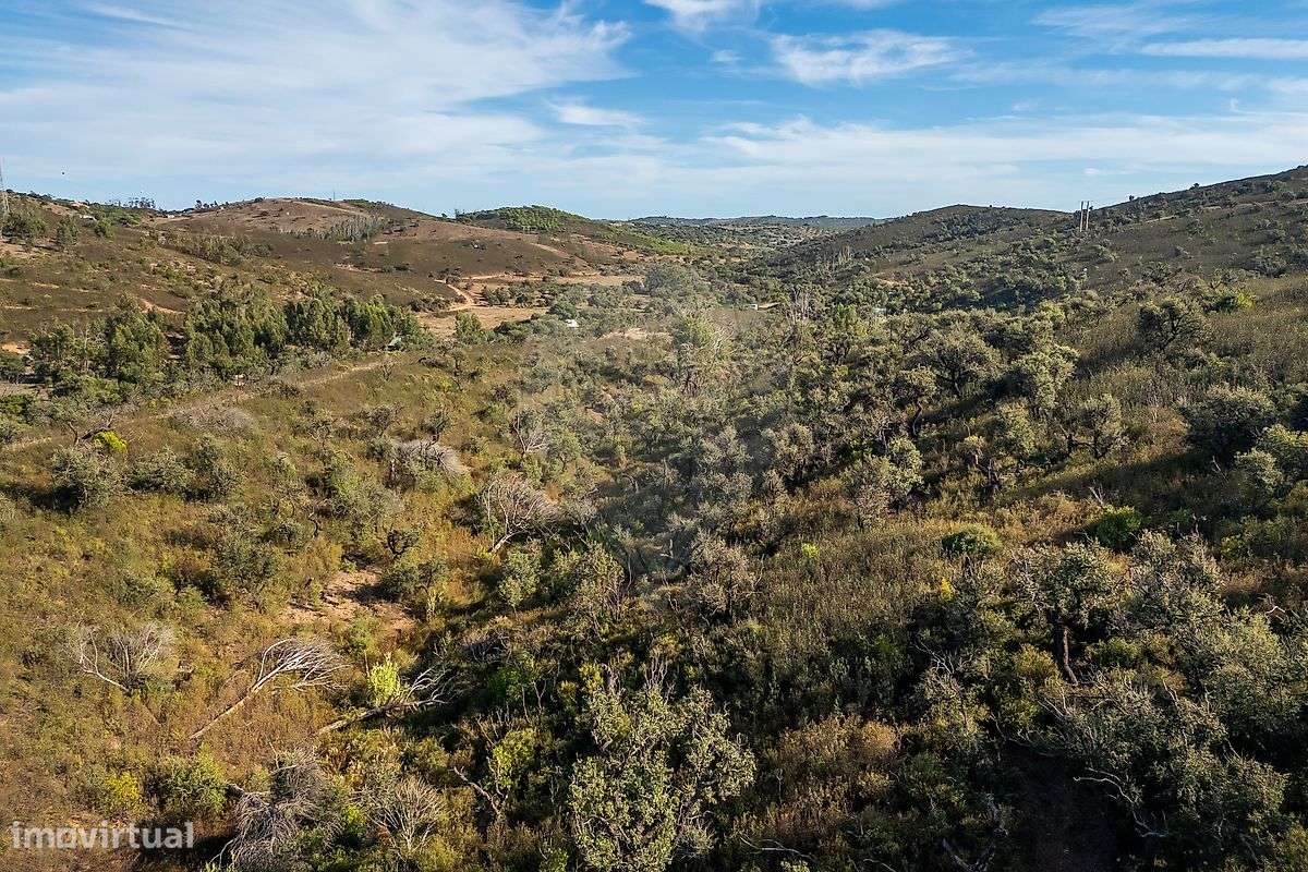 Terreno  para venda-5