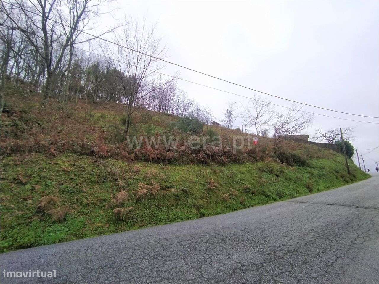 Terreno / Baião, Campelo e Ovil - Grande imagem: 4/9