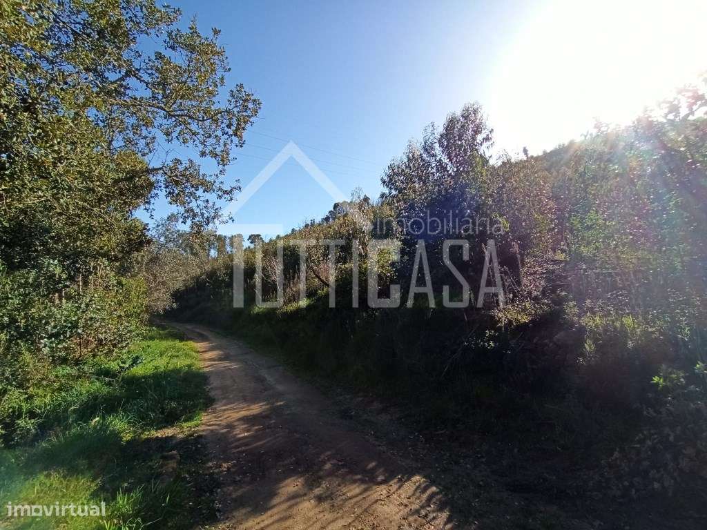 Terreno florestal na Malveira com 4hectares - Grande imagem: 4/10