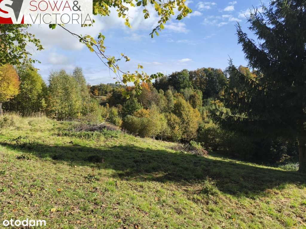 Kameralne miejsce z pięknym widokiem - Pełny obrazek: 4/6