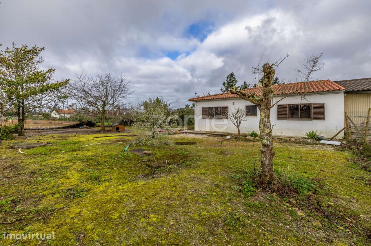 Moradia T2 térrea – Moita | Marinha Grande - Grande imagem: 2/33