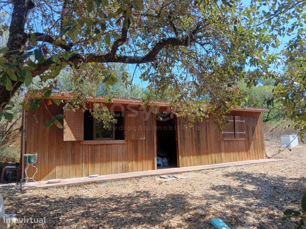 Terreno com casa de madeira em Evora de Alcobaça - Grande imagem: 3/15