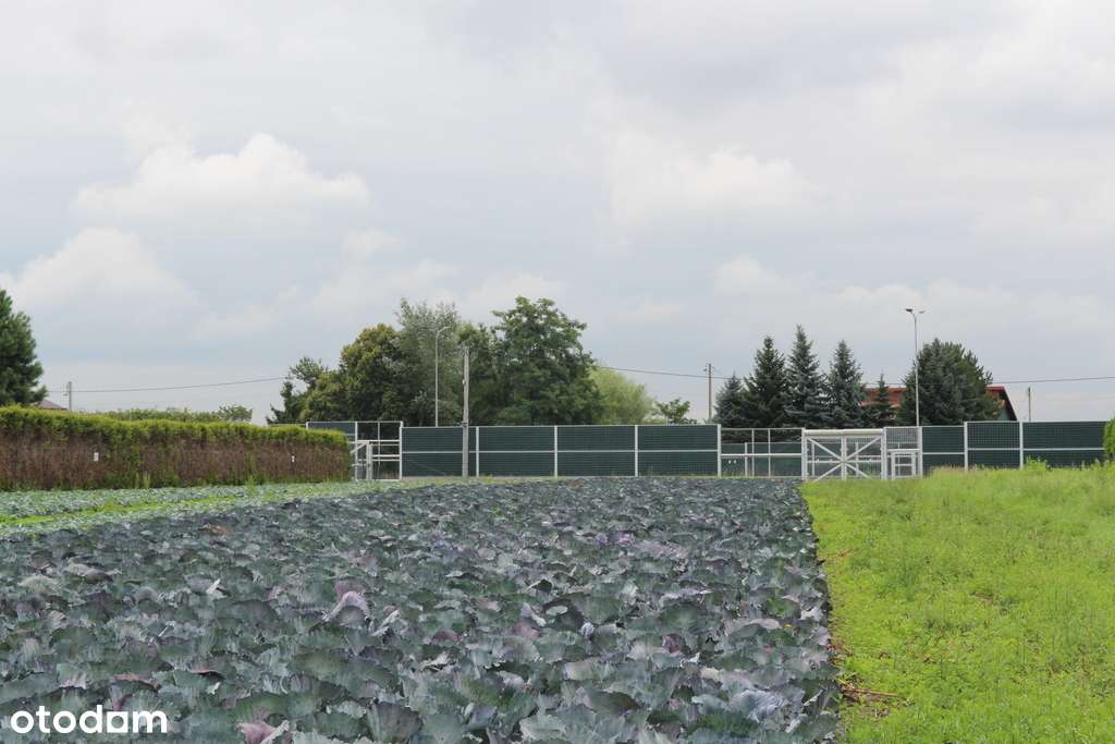 Inwestycyjna Działka w Krakowie, Nowa Huta-3