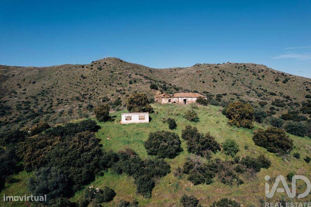 Quinta em Chãs - Grande imagem: 4/40