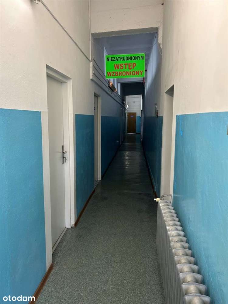 Hala produkcyjna magazynowa zagospodarowana - Pełny obrazek: 4/20