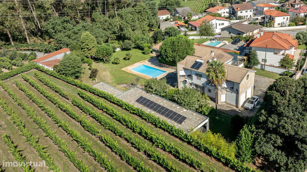 Casa Isolada com Piscina em Felgueiras com Jardim e Garagem Privativa - Grande imagem: 4/52