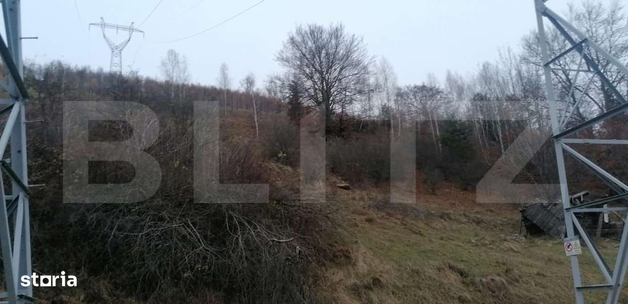 Teren 14 ha compact langa Lacul Tau Bistra - Imagine principală: 3/7