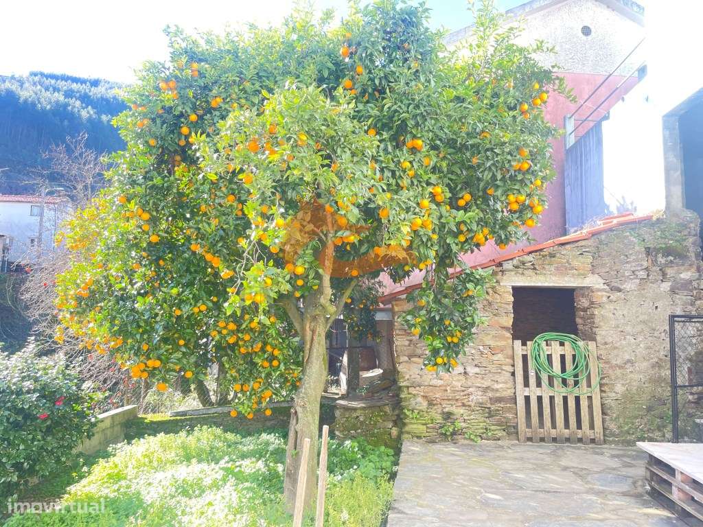 Casa com 2 quartos e jardim nas Corgas, Pomares - Arganil-20