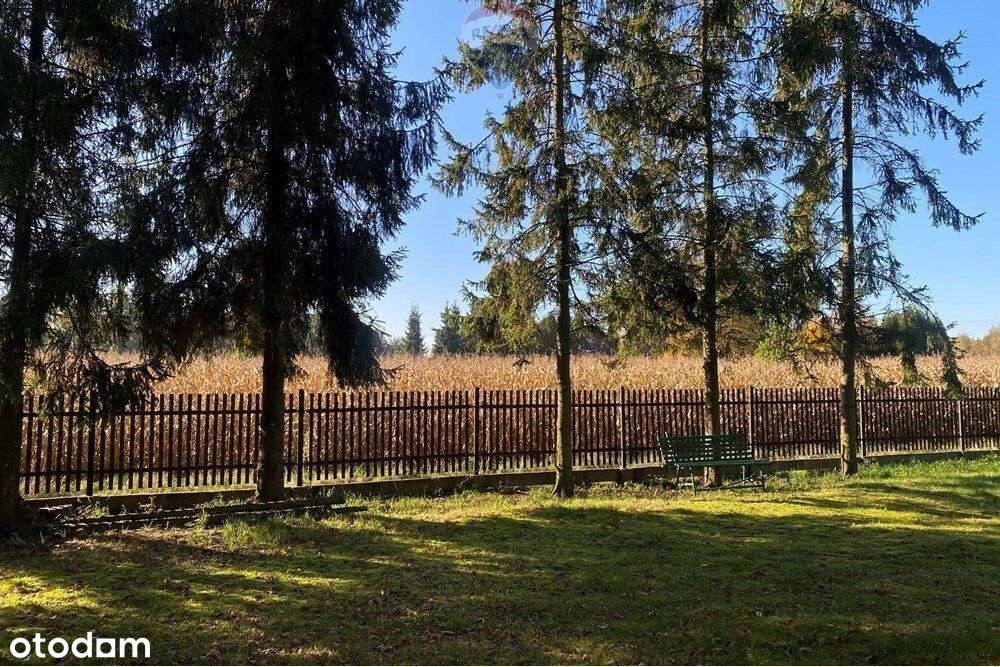 Działka budowlana w Piasku - Pełny obrazek: 5/14