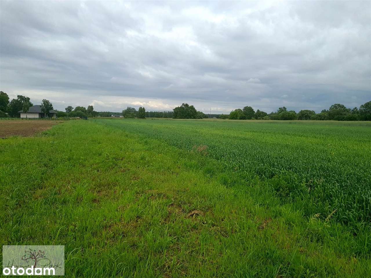 Uzbrojone Działki POD Poddębicami nad rzeką NER - Pełny obrazek: 5/7