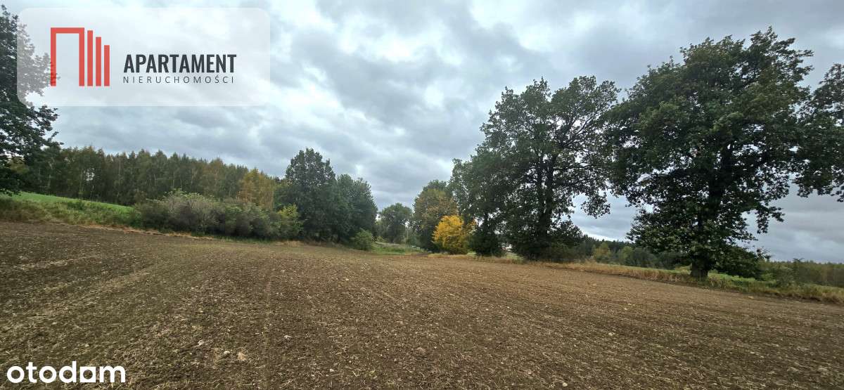 Działka w zielonej okolicy – 3000 m² - Pełny obrazek: 5/8