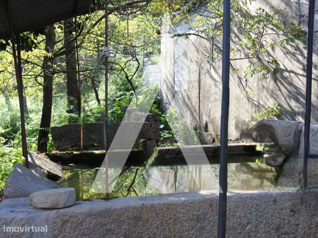 Quinta T6 histórica para recuperação, Guimarães.-21