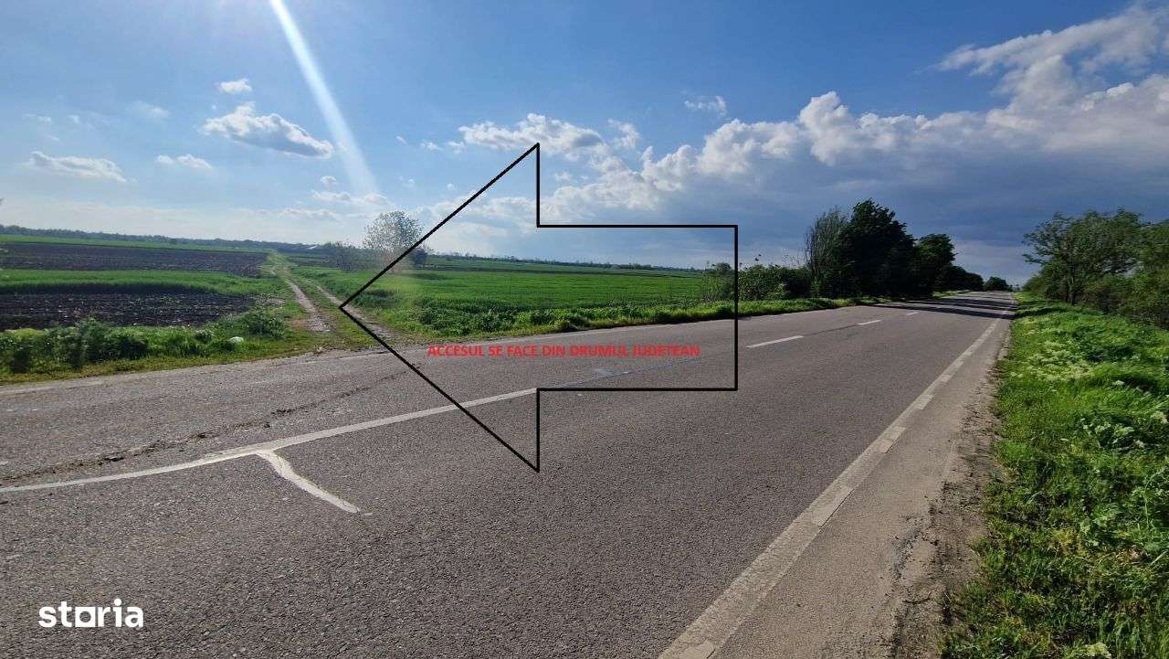 2.500 mp cu acces la DOUA strazi - COMUNA 1 DECEMBRIE, IF - Imagine principală: 2/6