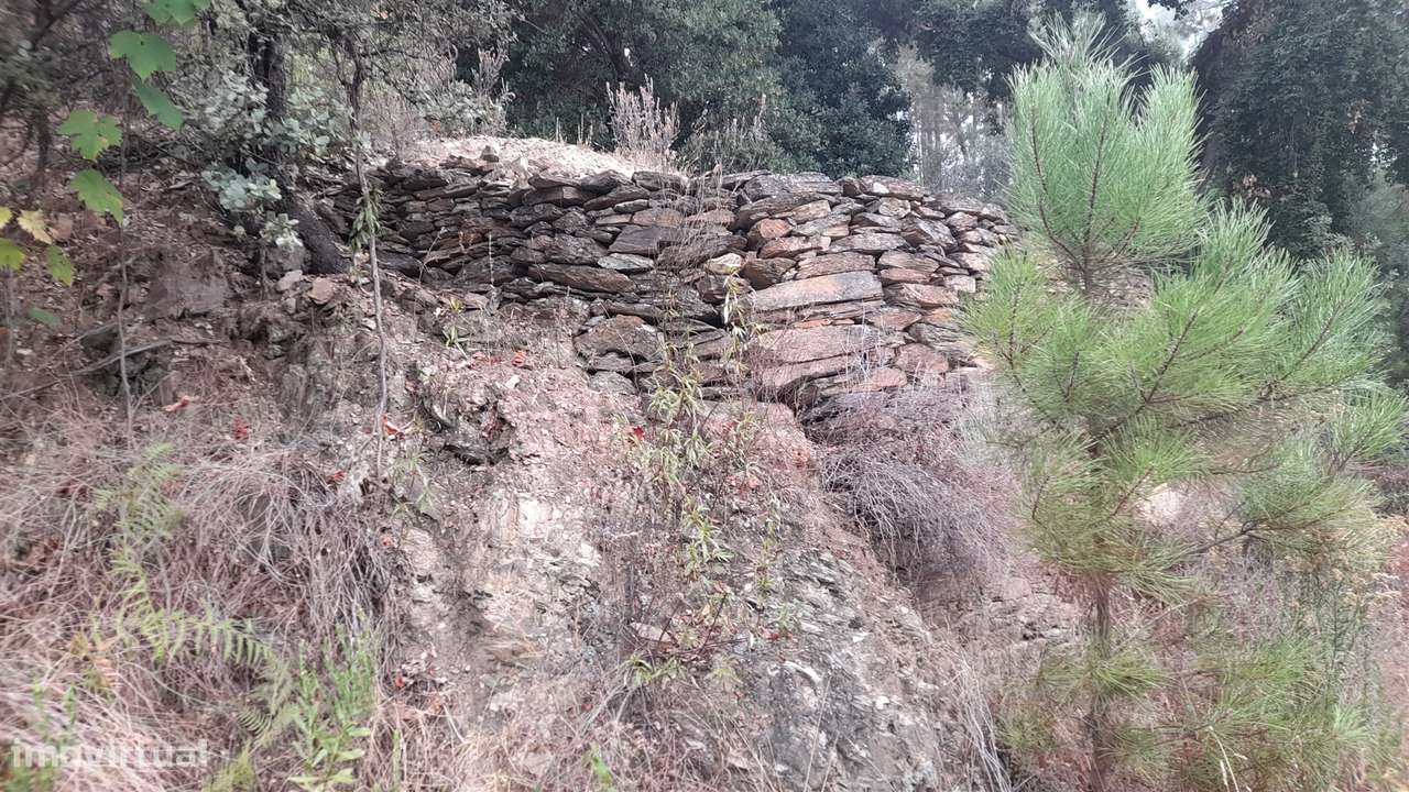 Terreno Rústico  Venda em Santo André das Tojeiras,Castelo Branco - Grande imagem: 5/9