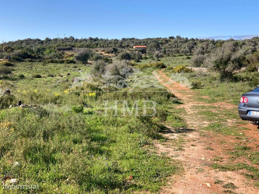 Terreno Rústico com 20701 m2 Próximo à Vila de Mexilhoeira-6