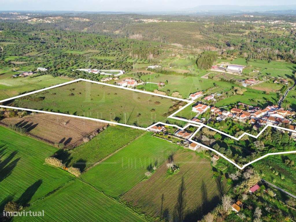 Terreno | Tentúgal - Grande imagem: 4/9