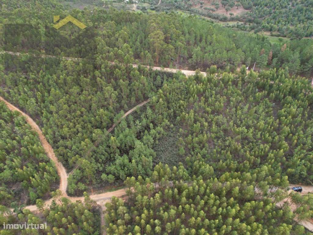 Terreno rústico de 1160m2 - Grande imagem: 3/4