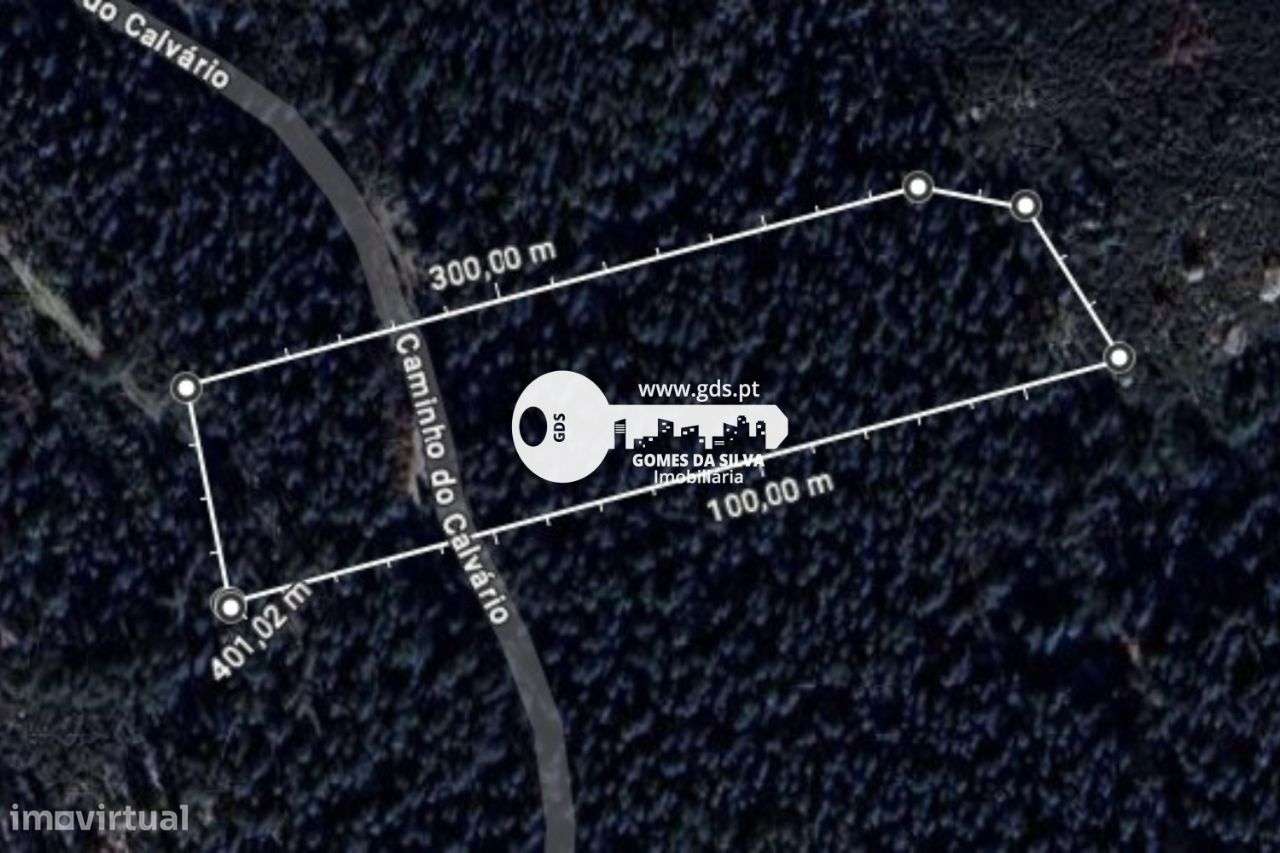 Terreno Rústico à Venda – 6.600m² | Travassos, Morreira, Braga-1