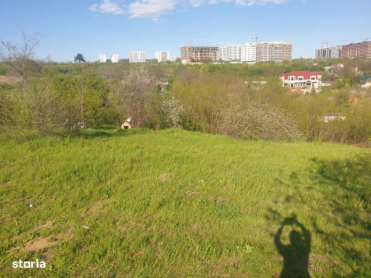 Teren intravilan IASI - COPOU - VITICULTORI -  in vecinatatea padurii-13