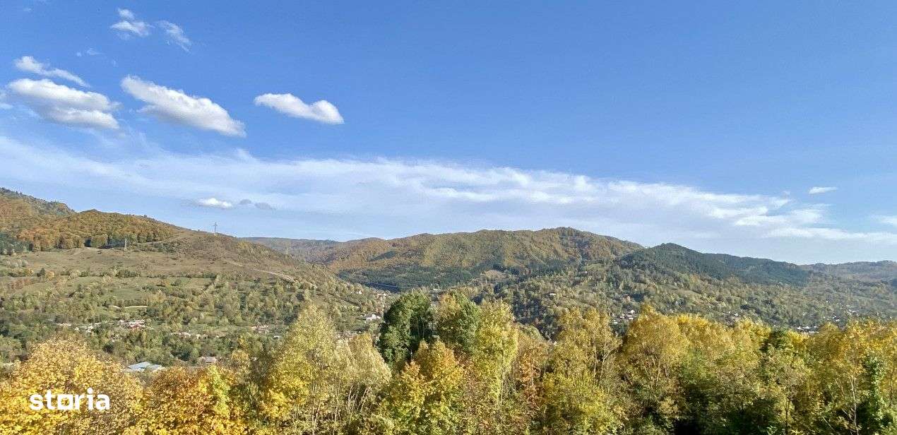 Teren retras panoramic Valea Doftanei 1350 mp panta lina, cu utilitati-0