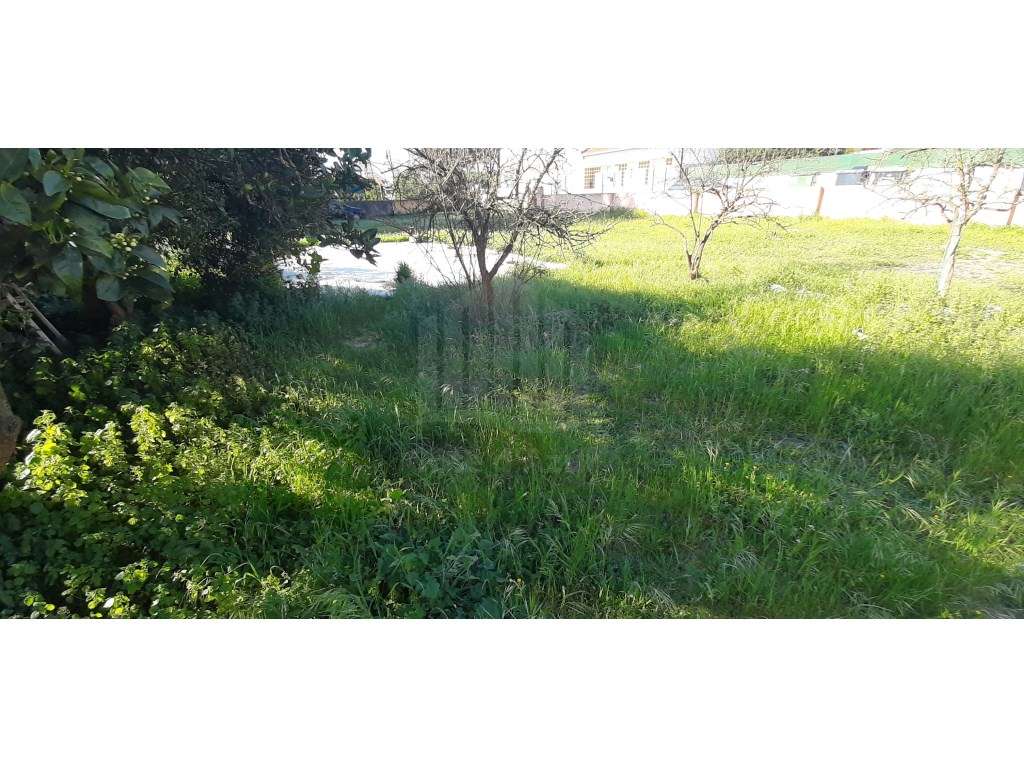 O Lugar Ideal para a Sua Futura Moradia no Pinhal do General-21