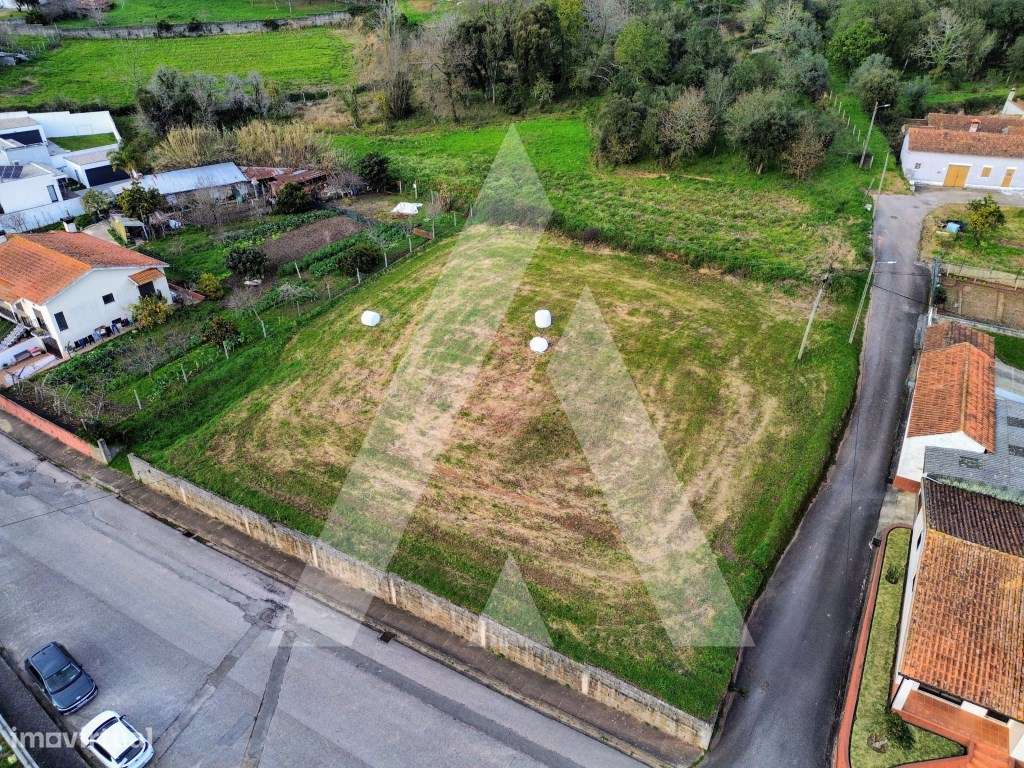 Terreno para Construção em São João de Loure - Grande imagem: 5/17