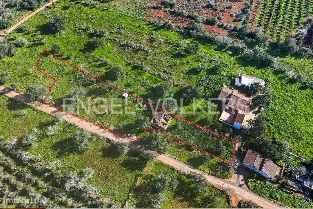 Terreno com ruína para reabilitar e/ou ampliar - Grande imagem: 3/10