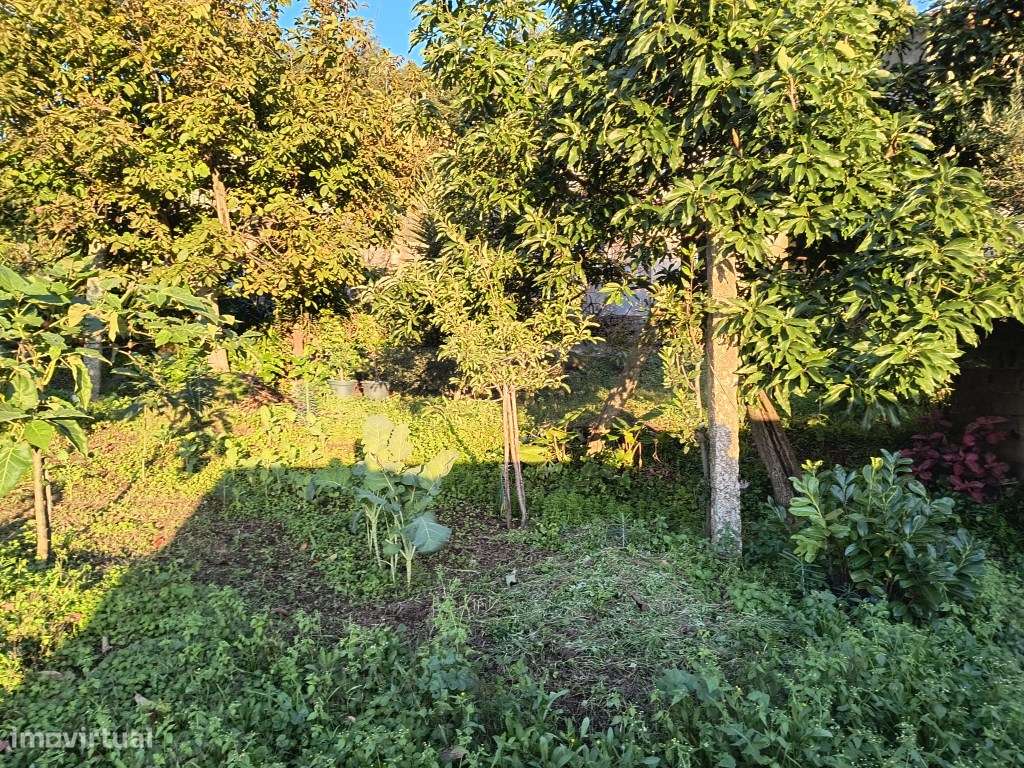 Terreno com casa para restaurar-10