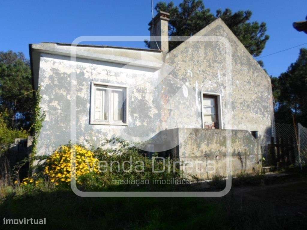 Quintinha com 2 Moradias Térreas | Sobreiro - Mafra - IMÓVEL DA BANCA - Grande imagem: 2/20