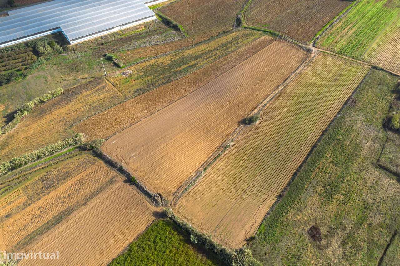 Terreno com bom potencial - Grande imagem: 3/10