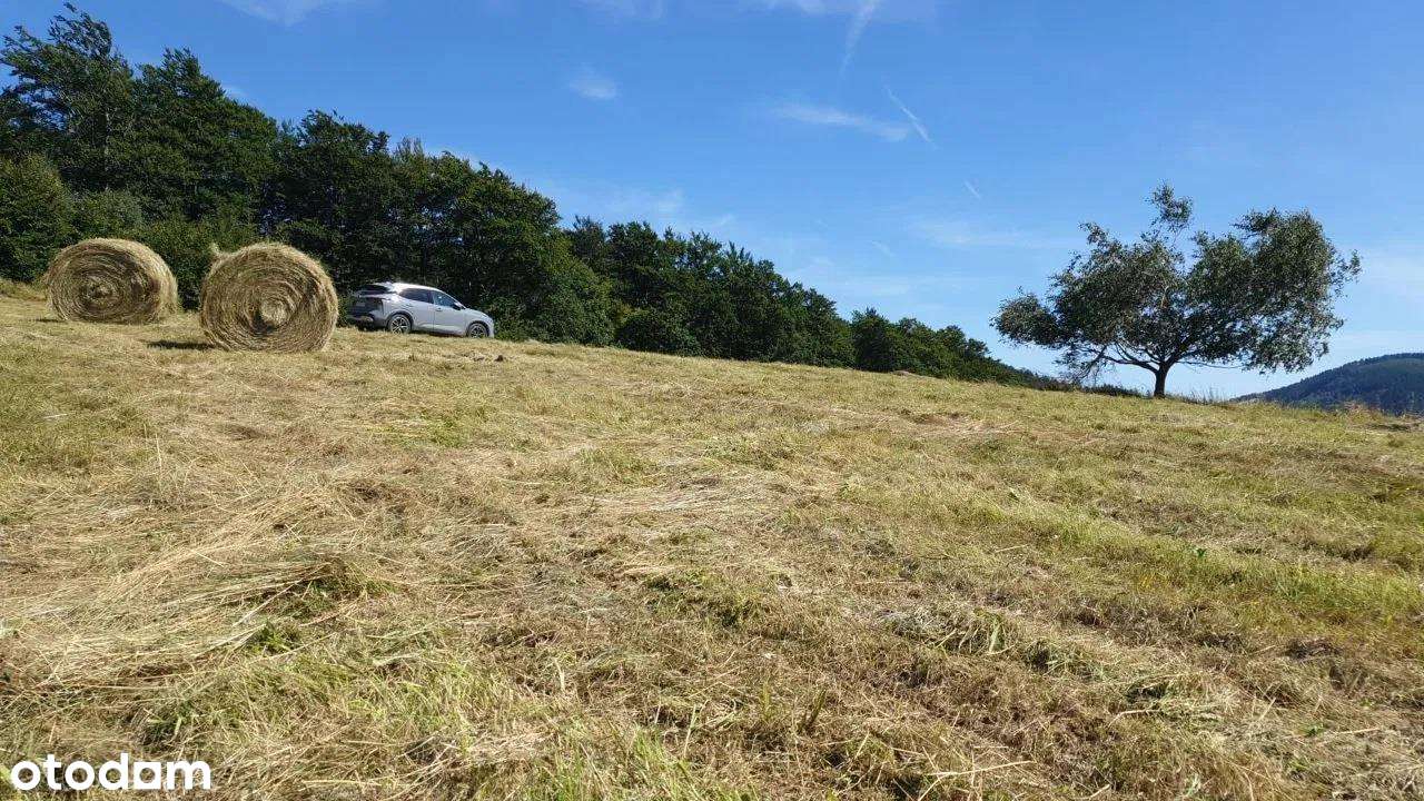 Urokliwa działka w Górach Sowich-7