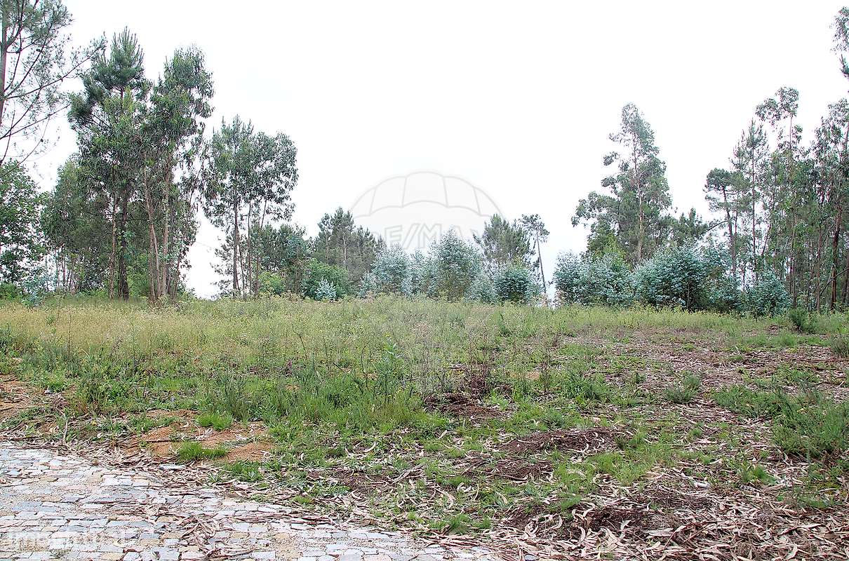 Terreno  para venda-22