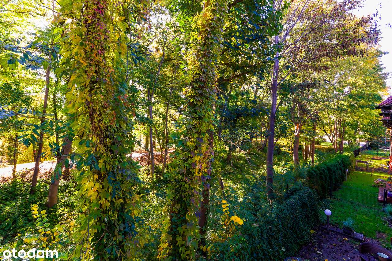 Twoja Prywatna Enklawa przy Parku Dolinka.-17