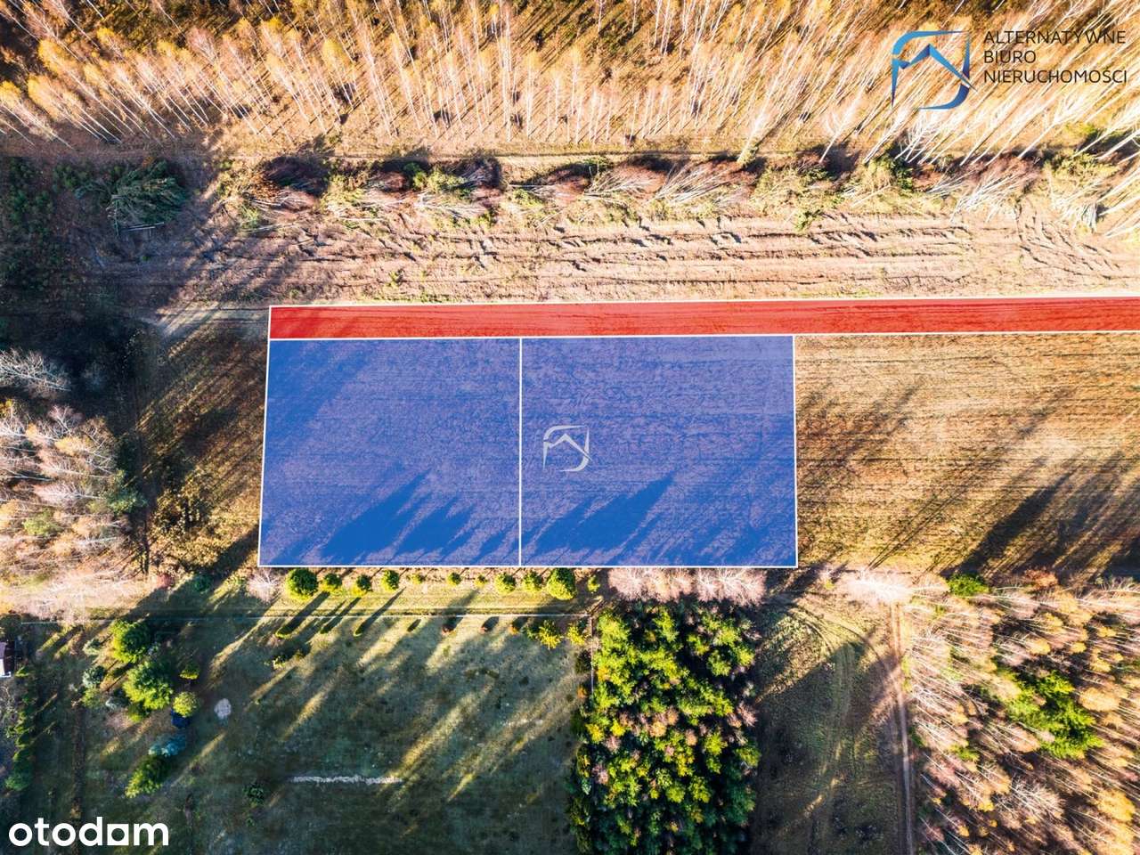 Piękne, ustawne działki w otulinie lasu - Jawidz - Pełny obrazek: 5/11