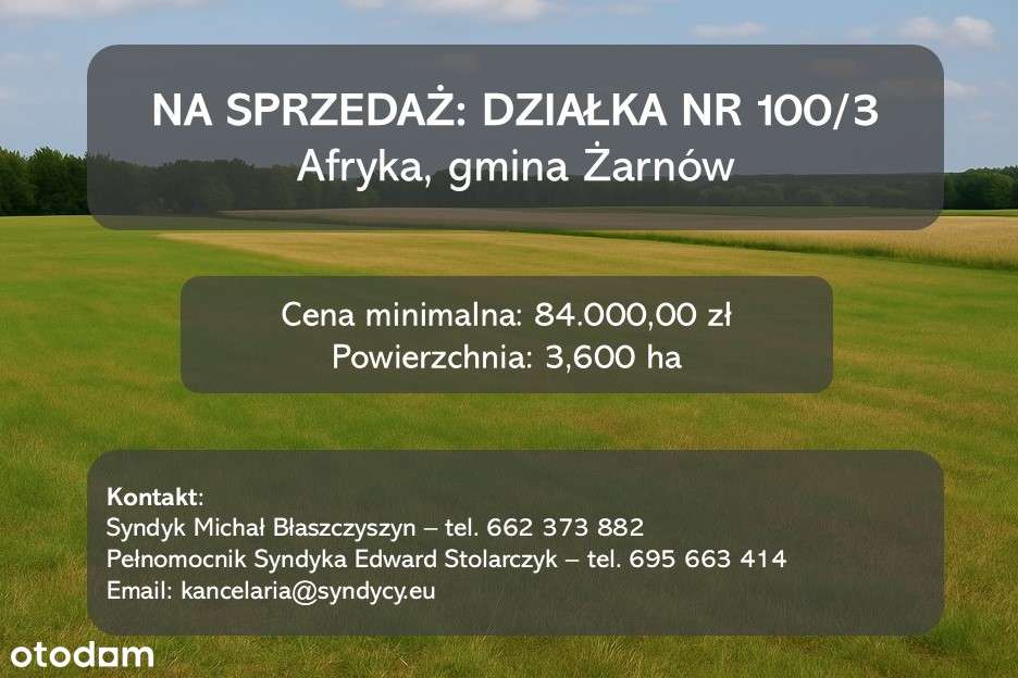 Syndyk sprzeda działkę w gminie Żarnów - Pełny obrazek: 1/2