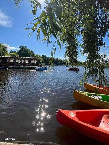 Comana, Jud Giurgiu, Str. Bujorului, 1262 mp, langa Parcul Natural - Imagine principală: 3/5