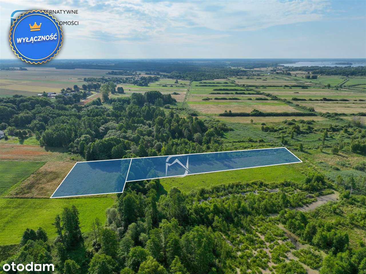 Działka rolna z pokładami torfu - Żminne - Pełny obrazek: 4/11