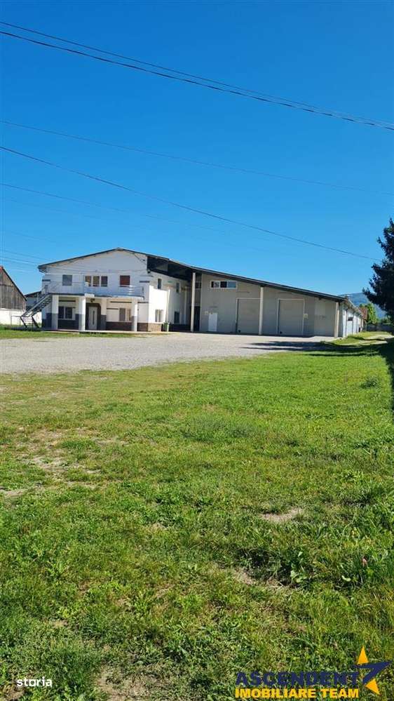 Hala multifunctionala, Prejmer, Central - Imagine principală: 4/9