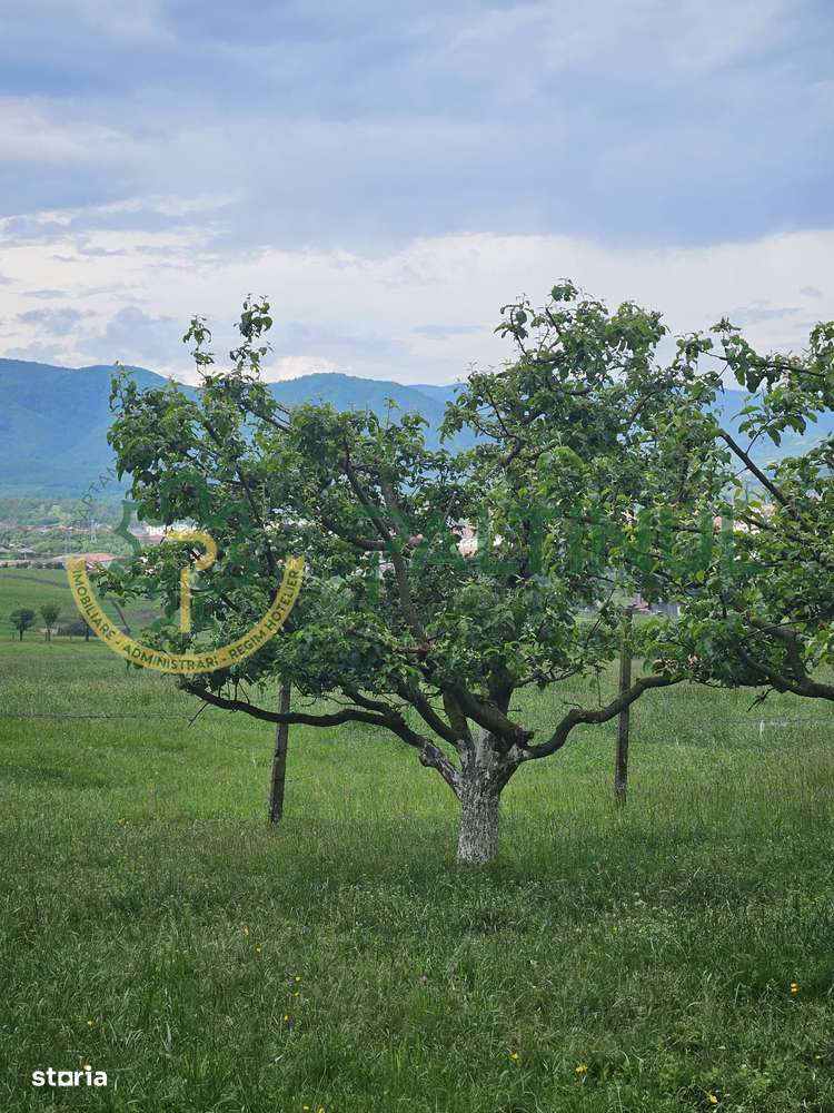 Teren 5.000 mp cu priveliște superbă – Cisnădie, Sibiu - Imagine principală: 2/5